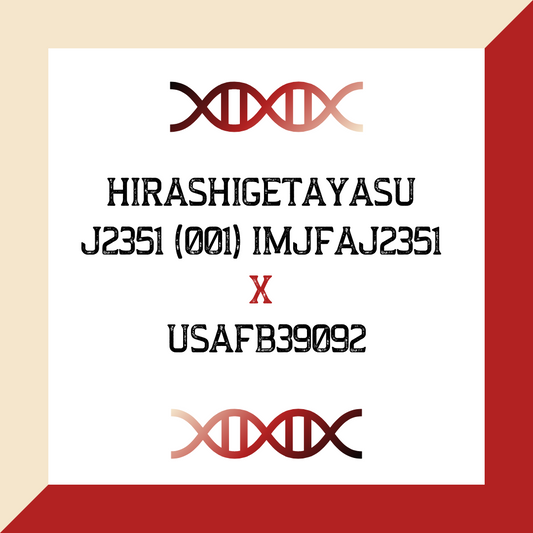 HIRASHIGETAYASU J2351 (001) IMJFAJ2351 X USAFB39092 (Heifer Sexed) (Grade 1 IVF)