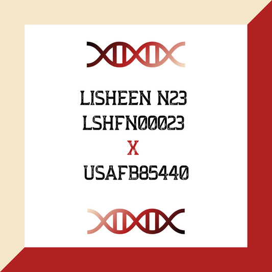 Lisheen N23 LSHFN00023 X USAFB85440 (Grade 1 IVF)