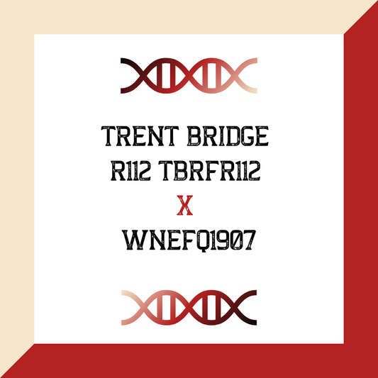 TRENT BRIDGE R112 TBRFR112 X WNEFQ1907 (Grade 1 IVF)