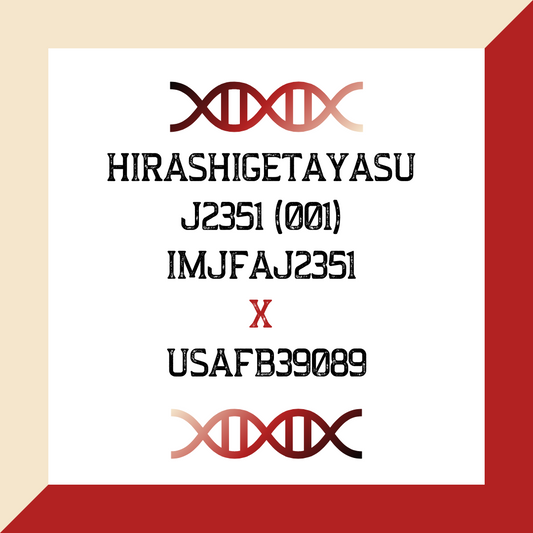HIRASHIGETAYASU J2351 (001) IMJFAJ2351 X USAFB39089 (Heifer Sexed) (Grade 1 IVF)