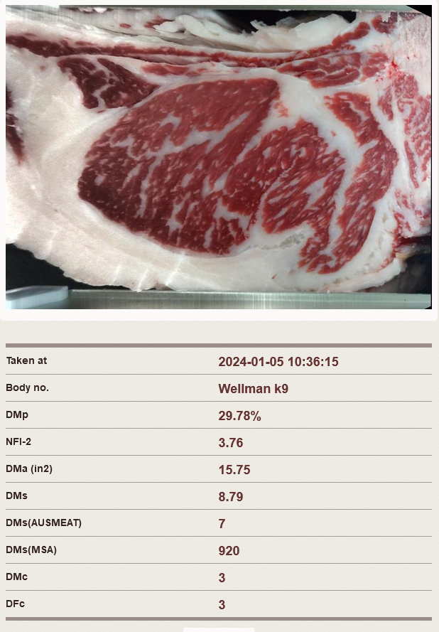 PCW Beijirou Doi 003 E1 USAFB27553
