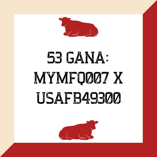 53 Gana: MYMFQ007 x USAFB49300