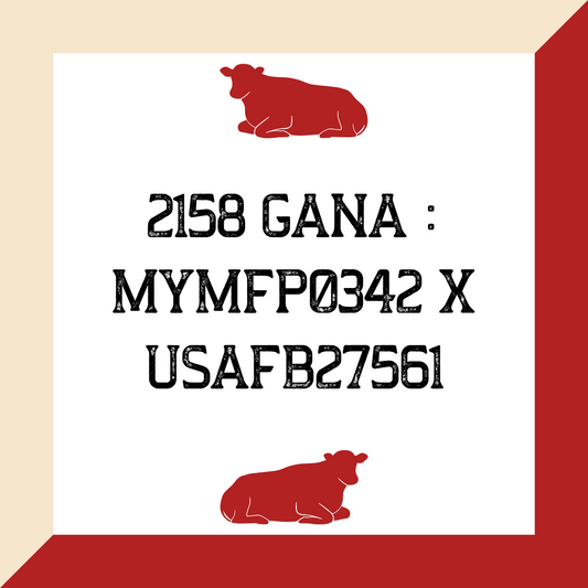 2158 Gana : MYMFP0342 x USAFB27561