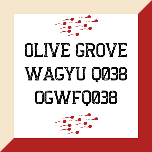 OLIVE GROVE WAGYU Q038 OGWFQ038