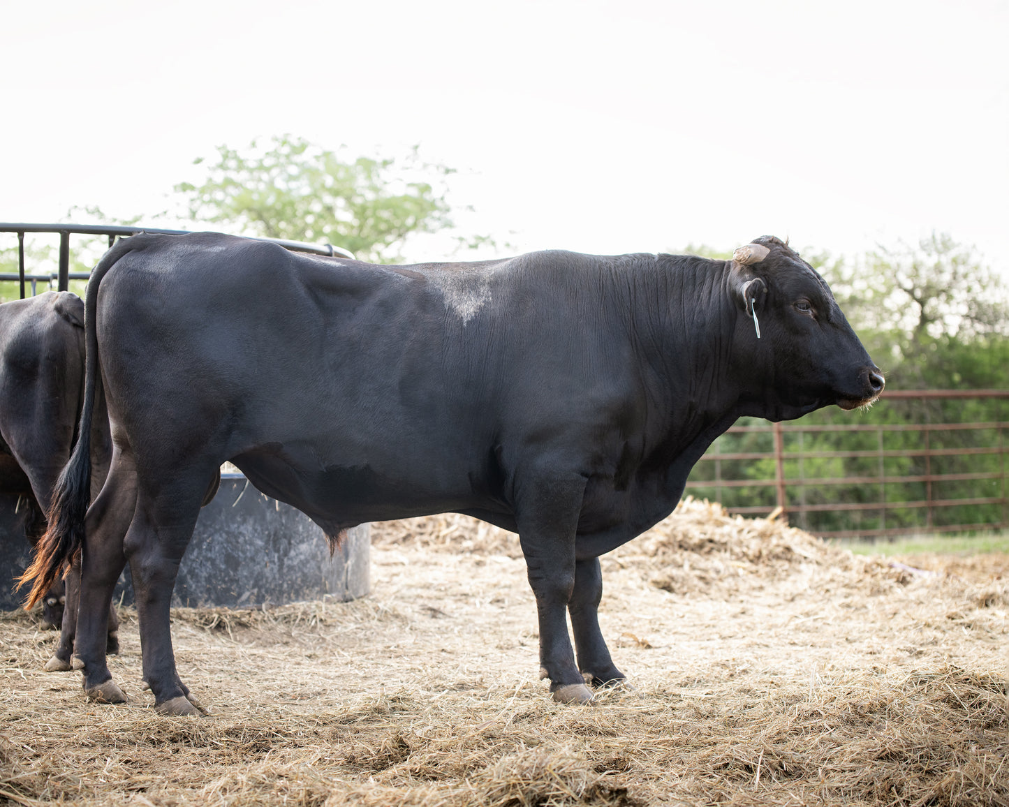 PCW ITOMICHI DOI 21 01 J01 USAFB85438