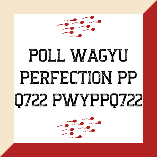 POLL WAGYU PERFECTION PP Q722  PWYPPQ722