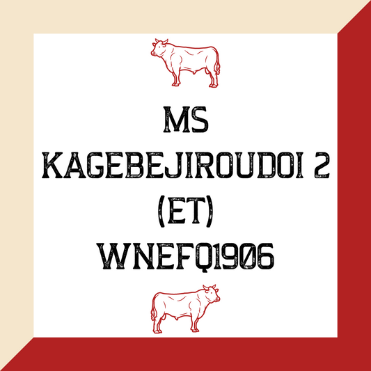 Ms KageBejirouDoi 2 (ET) WNEFQ1906