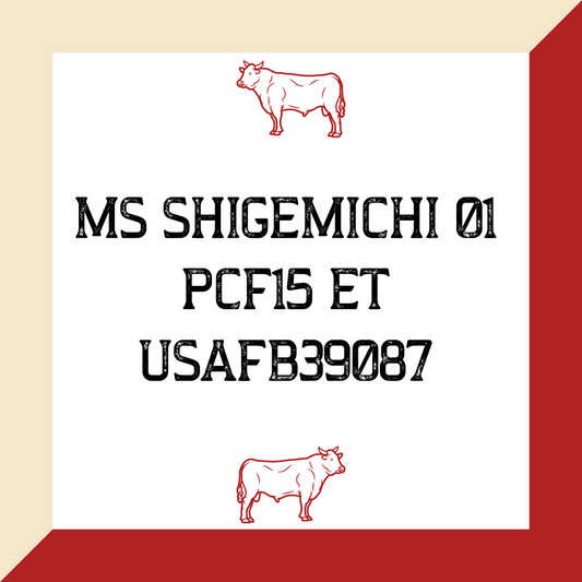 MS SHIGEMICHI 01 PCF15 ET USAFB39087