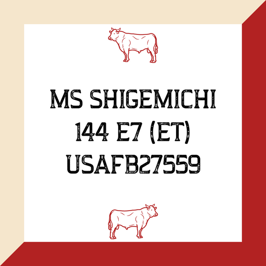 MS Shigemichi 144 E7 (ET) USAFB27559