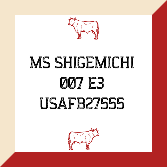 MS Shigemichi 007 E3 USAFB27555