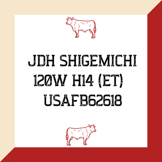 JDH Shigemichi 120W H14 (ET) USAFB62618