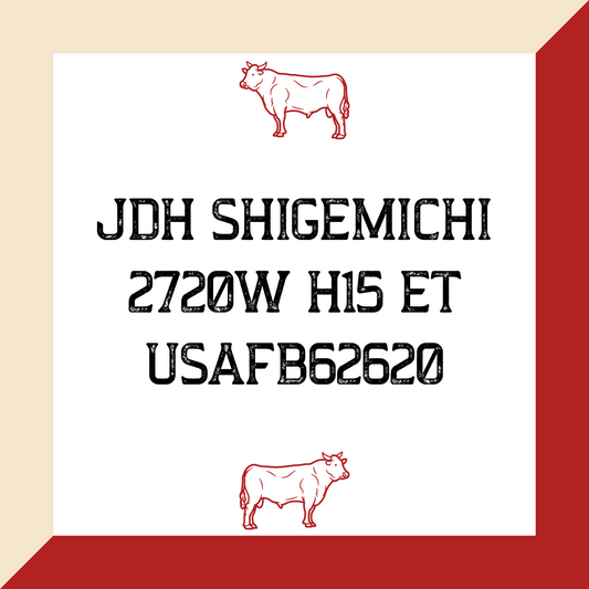 JDH Shigemichi 2720W H15 ET USAFB62620