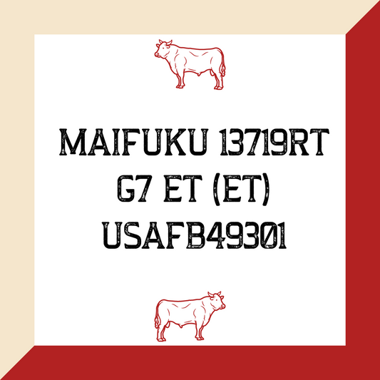 Maifuku 13719RT G7 ET (ET) USAFB49301