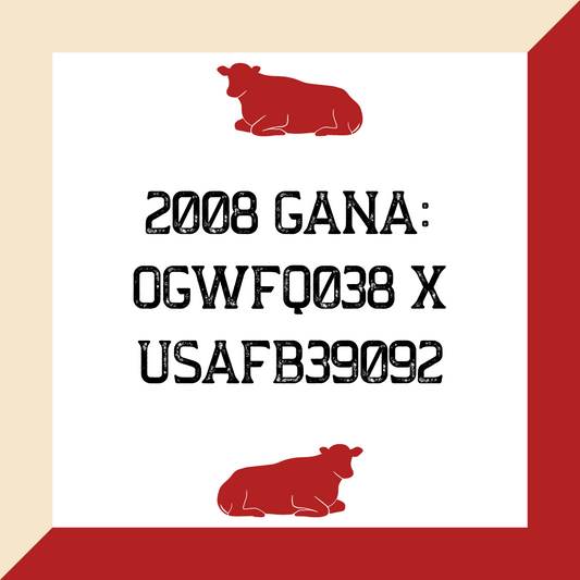 2008 Gana: OGWFQ038 x USAFB39092