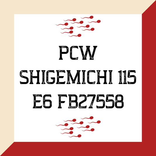 PCW Shigemichi 115 E6 FB27558