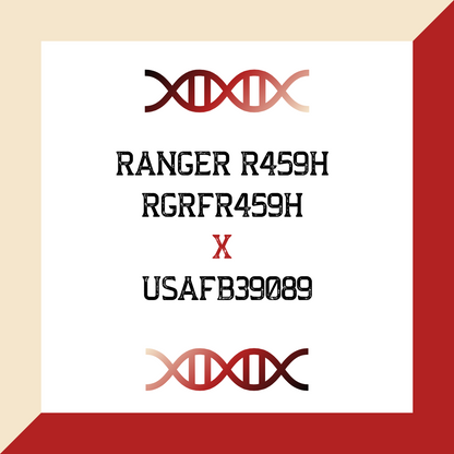 Ranger R459H RGRFR459H X USAFB39089