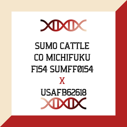 Sumo Cattle Co Michifuku F154 SUMFF0154 X USAFB62618