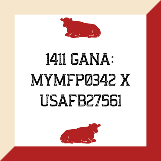 1411 Gana: MYMFP0342 x USAFB27561