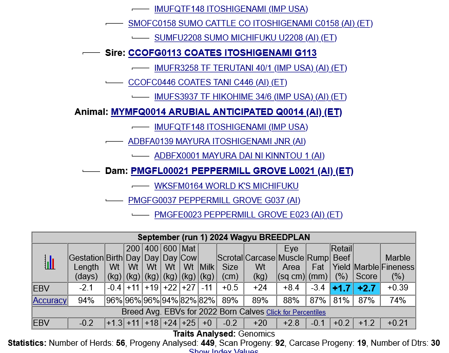 Arubial anticipated MYMFQ0014 Semen