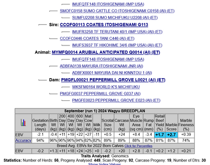 Arubial anticipated MYMFQ0014 Semen