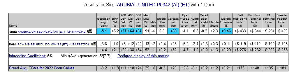 ARUBIAL UNITED MYMFP0342 X USAFB27554 (Grade 1 IVF) Embryo